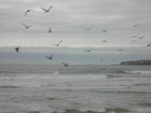 Picture of the beach of Halfmoon Bay