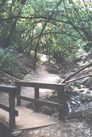 Inside of the Park