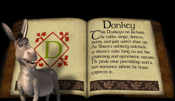 Donkey Photo